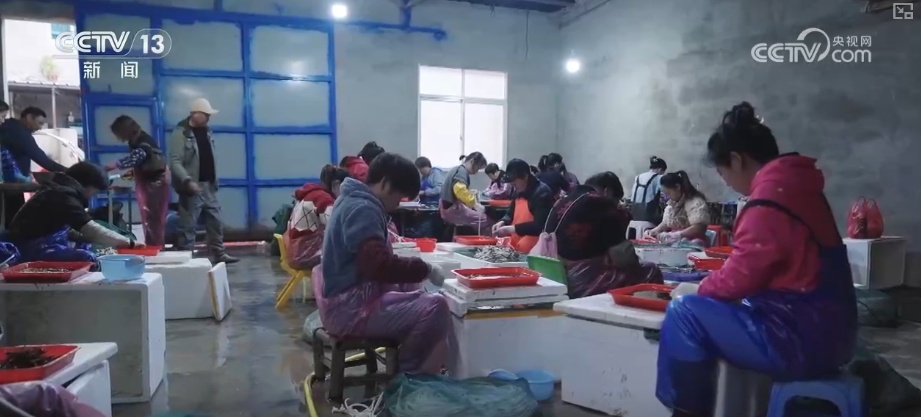 科技赋能海洋经济向“新”而行 “海上牧场”产出“大经济”助农增产增收