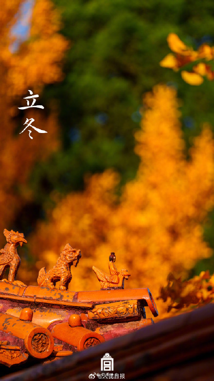 转存收藏！故宫节气图 张张都是壁纸