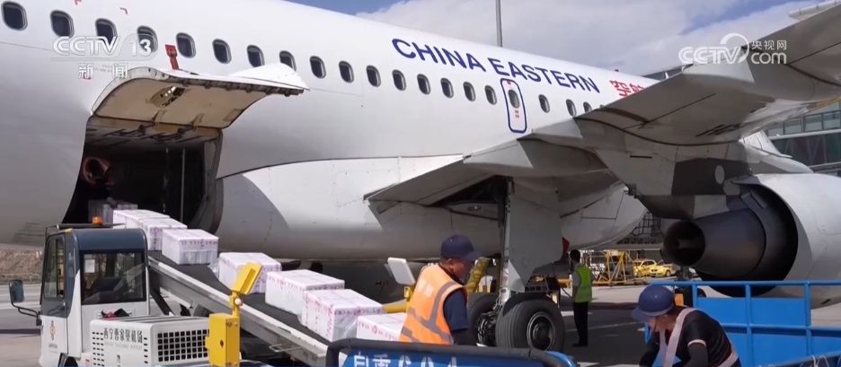 从“高原特产”到“世界餐桌” 冷凉蔬菜“鲜”声夺人装满冬日“菜篮子” 从“高原特产”到“世界餐桌” 冷凉蔬菜“鲜”声夺人装满冬日“菜篮子”