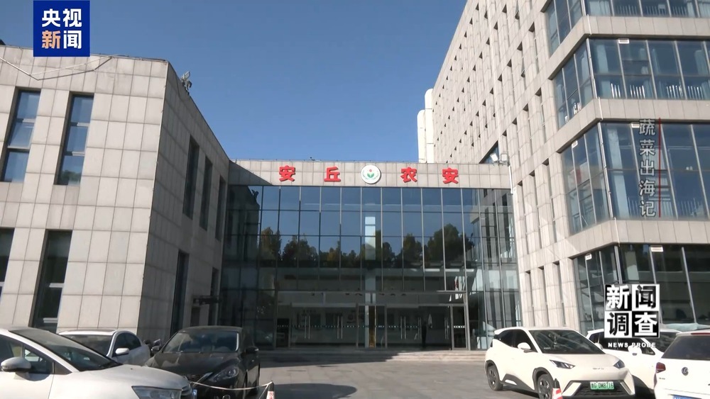 从追标准到定标准 “中国蔬菜出口第一县”做对了什么? 从追标准到定标准 “中国蔬菜出口第一县”做对了什么?