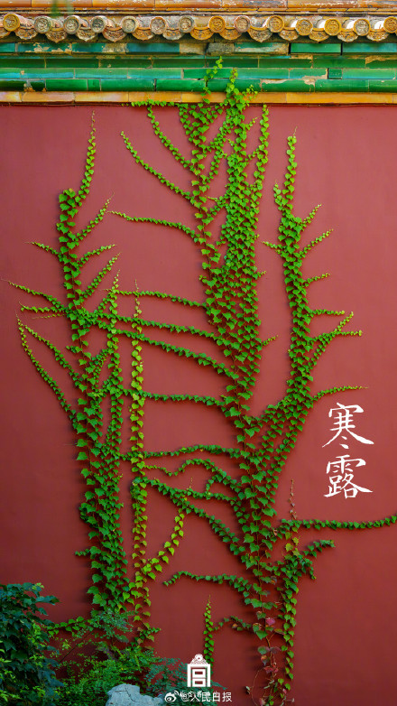 转存收藏！故宫节气图 张张都是壁纸