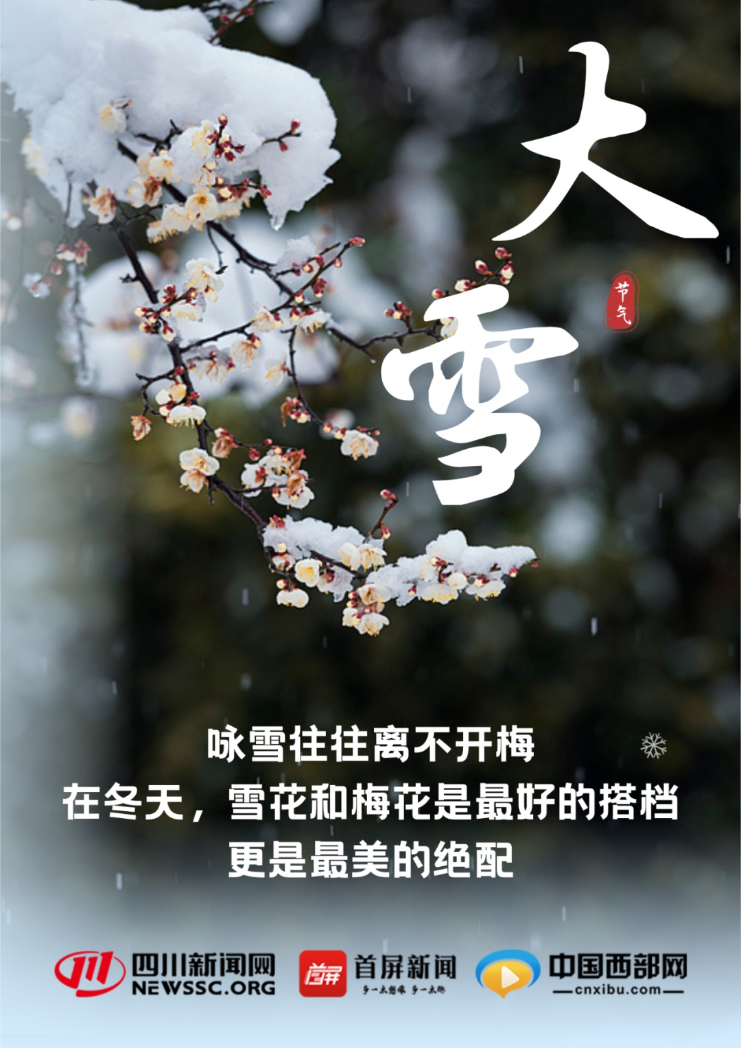 今日大雪！雪纷飞，仲冬始