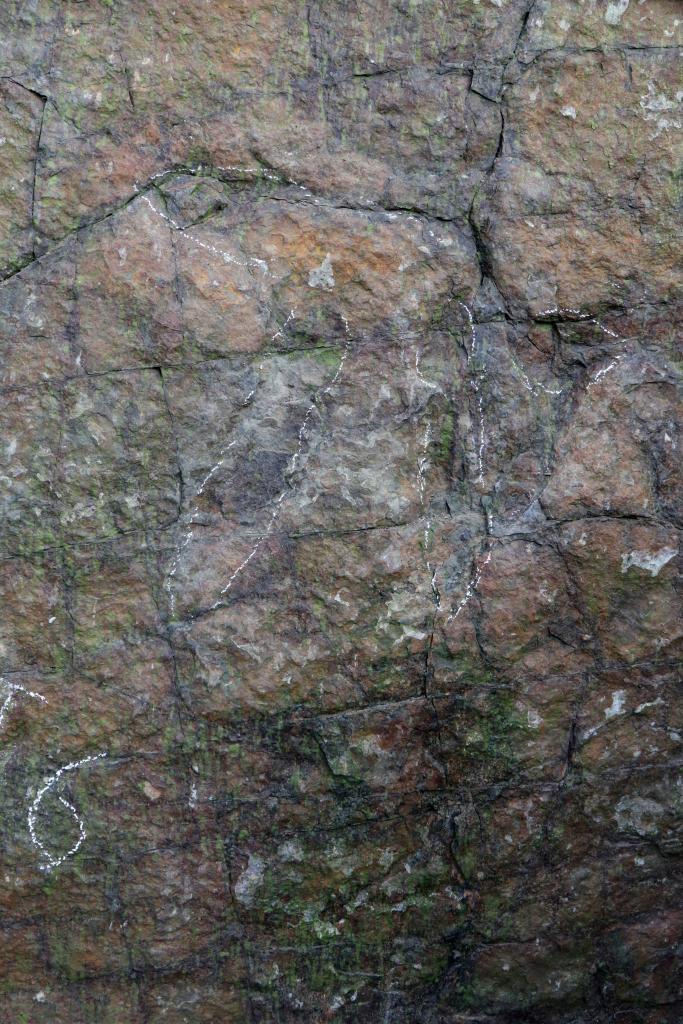 四川都江堰首次发现2亿年前恐龙踩下的“时光脚印”