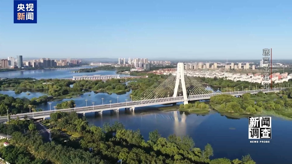 从追标准到定标准 “中国蔬菜出口第一县”做对了什么? 从追标准到定标准 “中国蔬菜出口第一县”做对了什么?