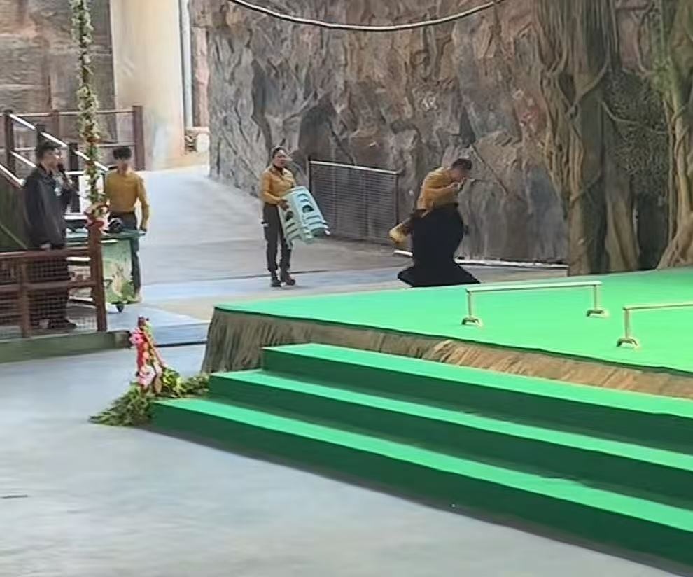 黑熊突袭饲养员，杭州野生动物世界致歉