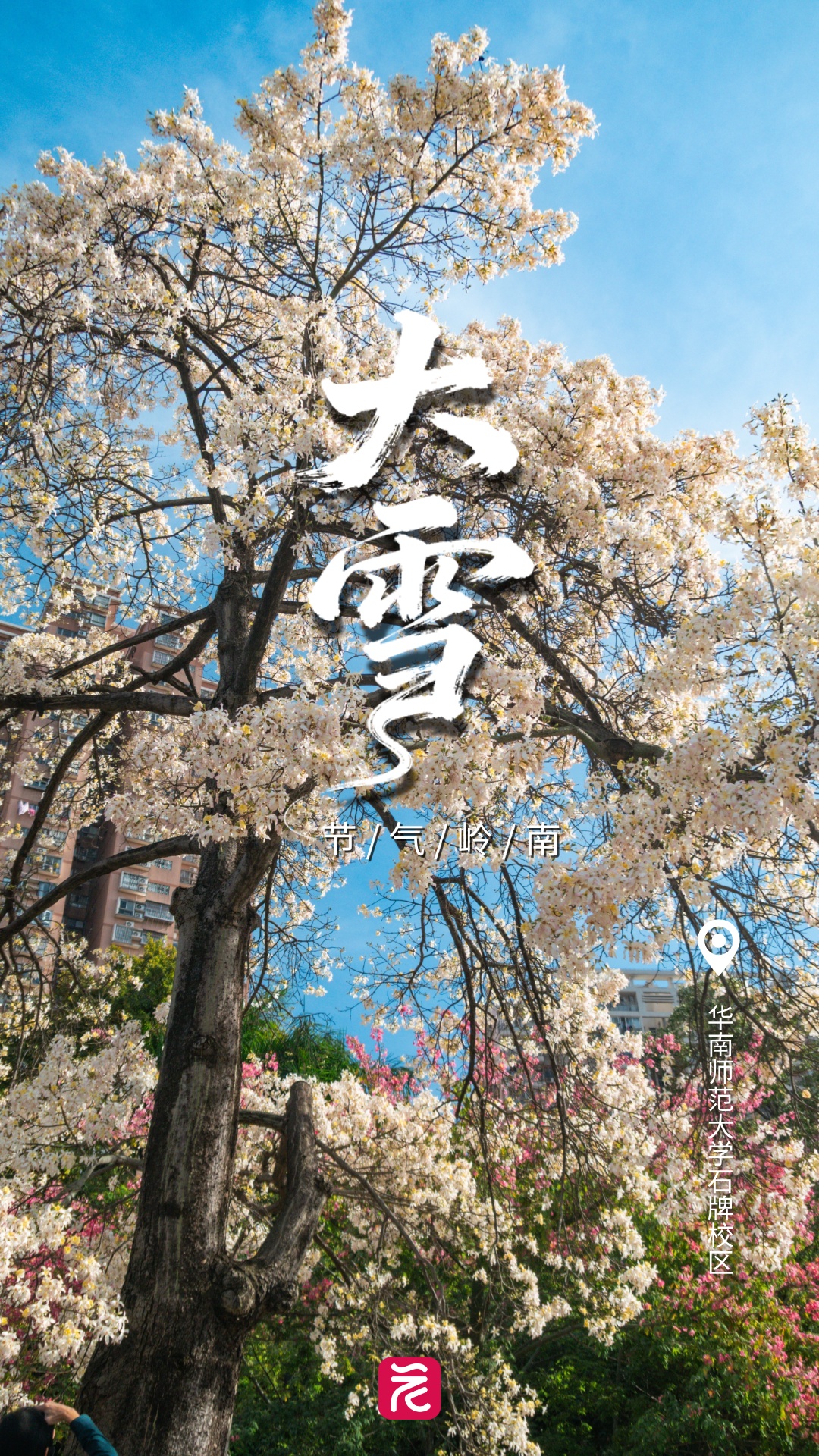 冷空气下周到货！广东人最怕的湿冷要来了