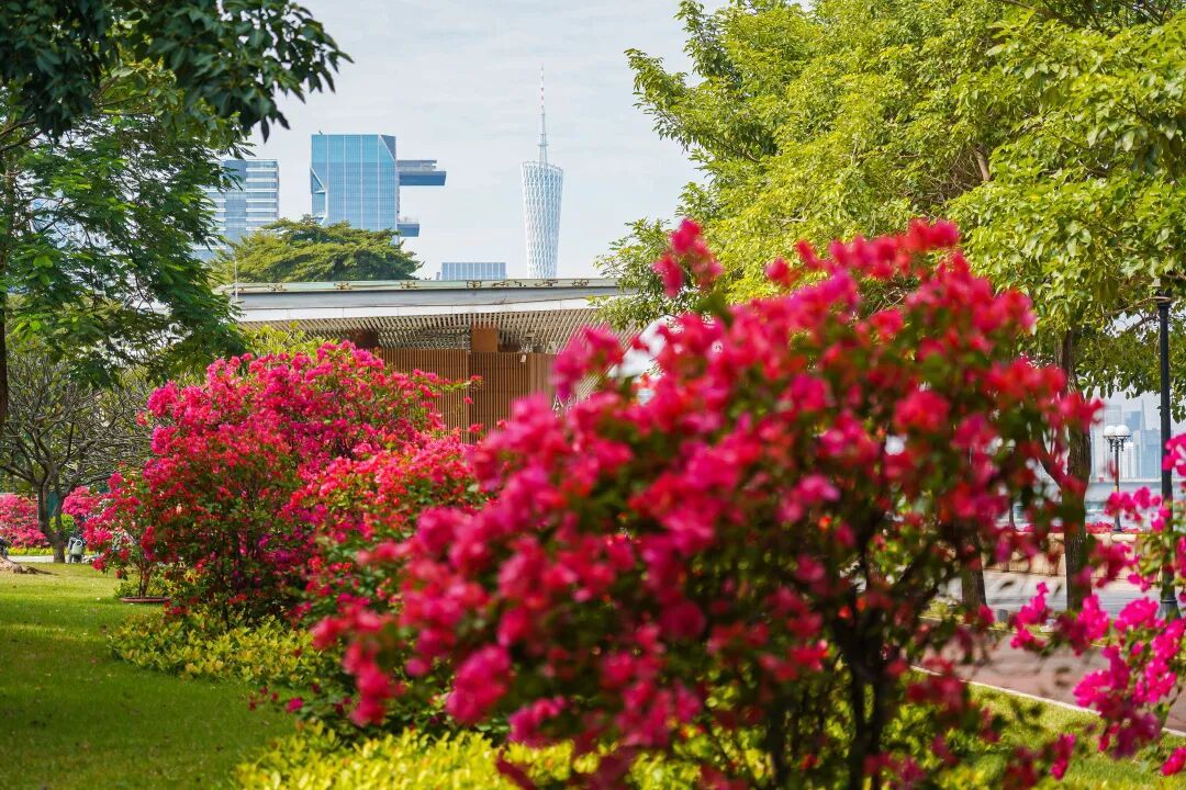 冷空气下周到货！广东人最怕的湿冷要来了
