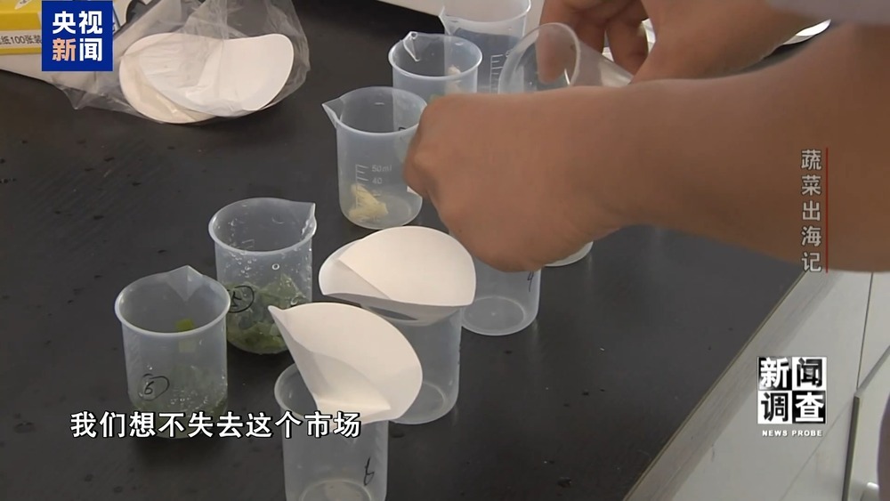 从追标准到定标准 “中国蔬菜出口第一县”做对了什么? 从追标准到定标准 “中国蔬菜出口第一县”做对了什么?