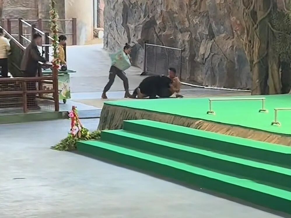 黑熊突袭饲养员，杭州野生动物世界致歉