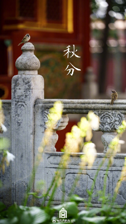 转存收藏！故宫节气图 张张都是壁纸