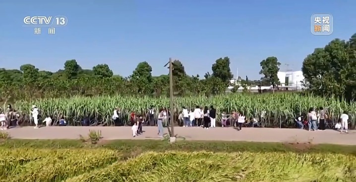 雪假、春秋假来了，学生的“新”假期到底怎么过？