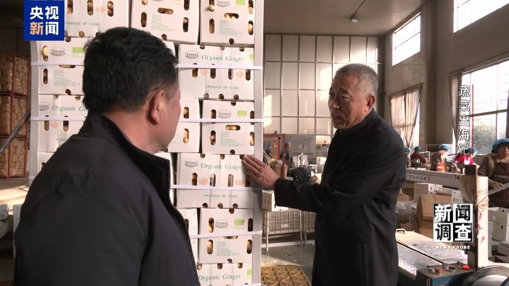 从追标准到定标准 “中国蔬菜出口第一县”做对了什么? 从追标准到定标准 “中国蔬菜出口第一县”做对了什么?