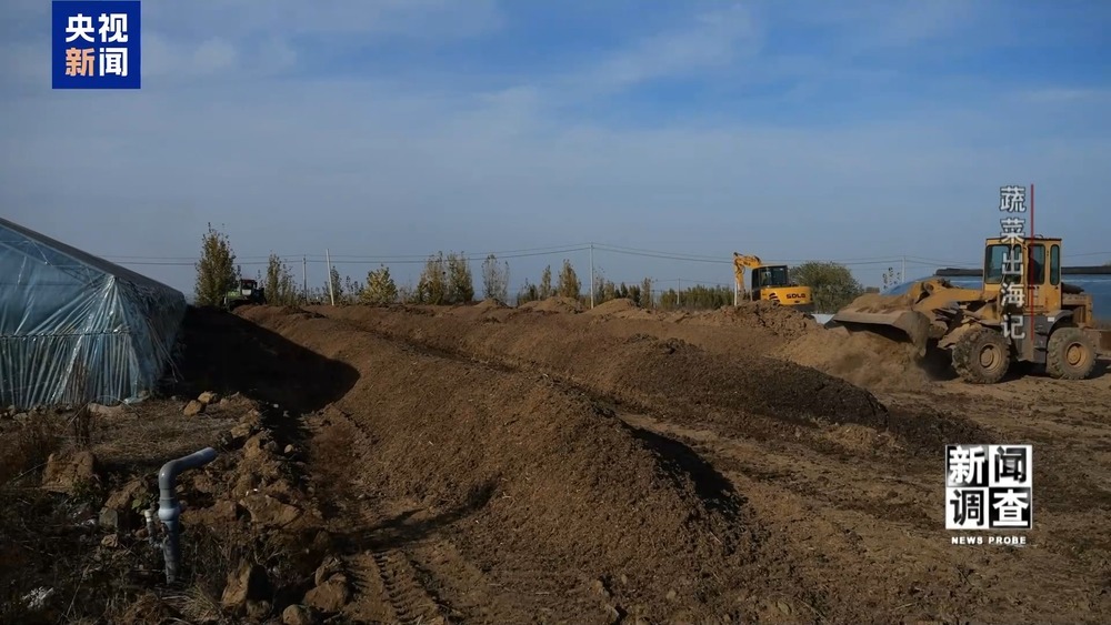 从追标准到定标准 “中国蔬菜出口第一县”做对了什么? 从追标准到定标准 “中国蔬菜出口第一县”做对了什么?