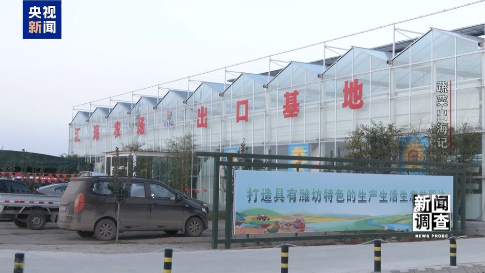 从追标准到定标准 “中国蔬菜出口第一县”做对了什么? 从追标准到定标准 “中国蔬菜出口第一县”做对了什么?