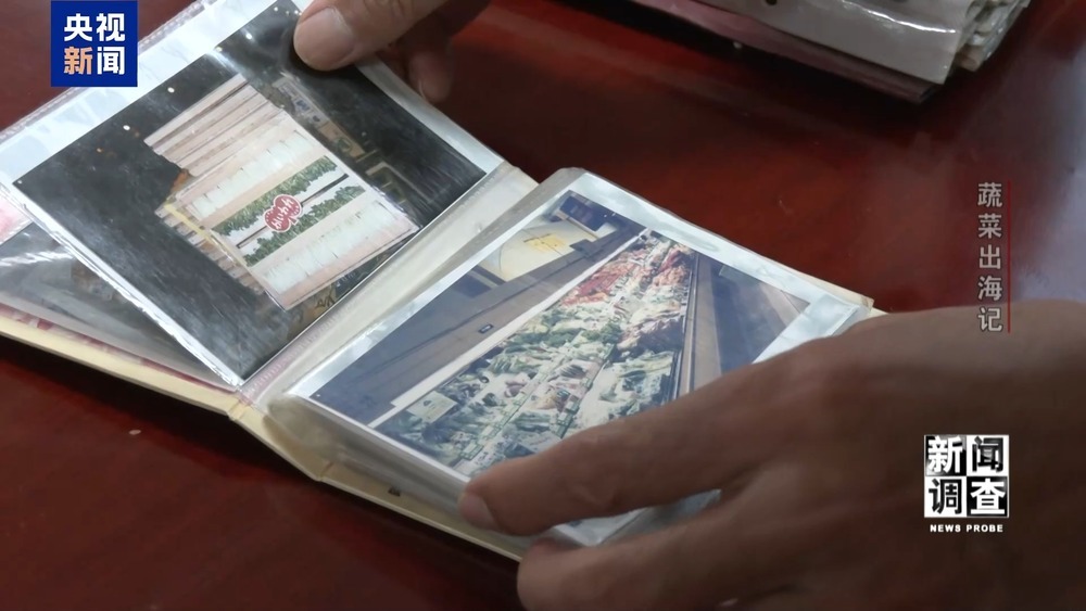 从追标准到定标准 “中国蔬菜出口第一县”做对了什么? 从追标准到定标准 “中国蔬菜出口第一县”做对了什么?