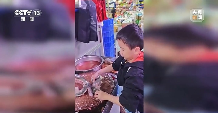 雪假、春秋假来了，学生的“新”假期到底怎么过？