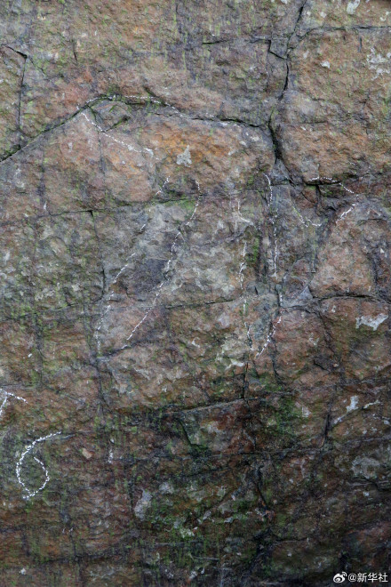 都江堰发现2亿年前恐龙的脚印