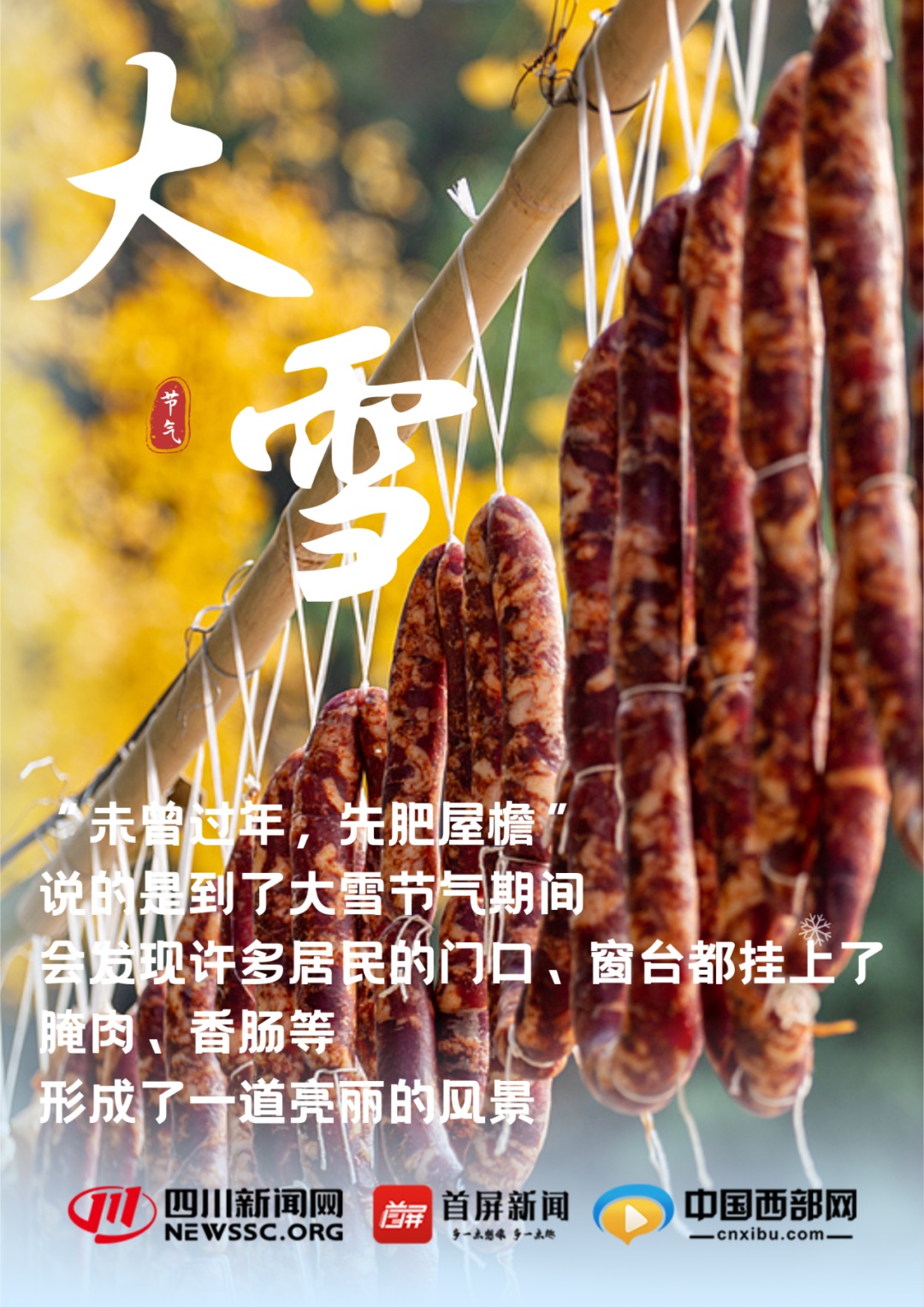 今日大雪！雪纷飞，仲冬始