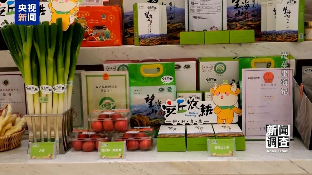 从追标准到定标准 “中国蔬菜出口第一县”做对了什么? 从追标准到定标准 “中国蔬菜出口第一县”做对了什么?