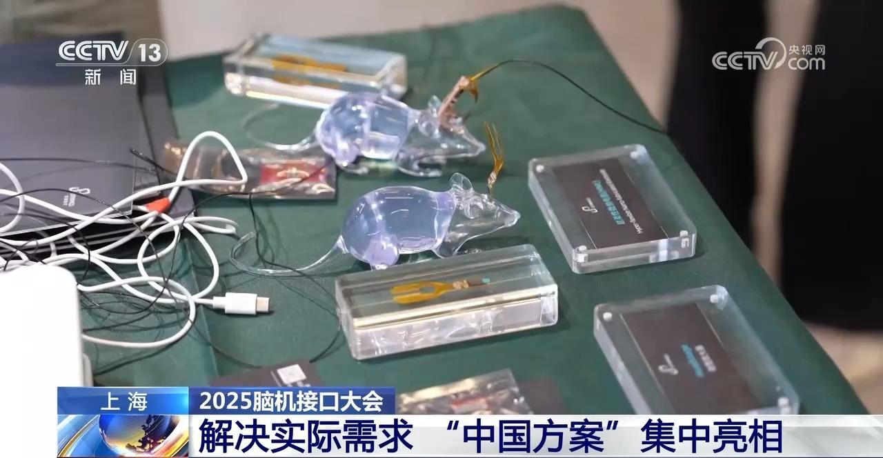 从“意念操控”到“视觉重建” 脑机接口有哪些新突破? 从“意念操控”到“视觉重建” 脑机接口有哪些新突破?