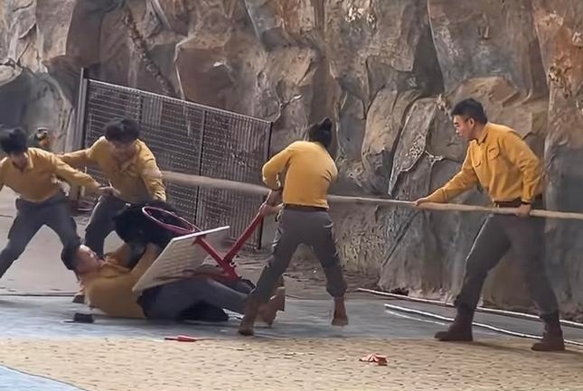 黑熊突袭饲养员，杭州野生动物世界致歉