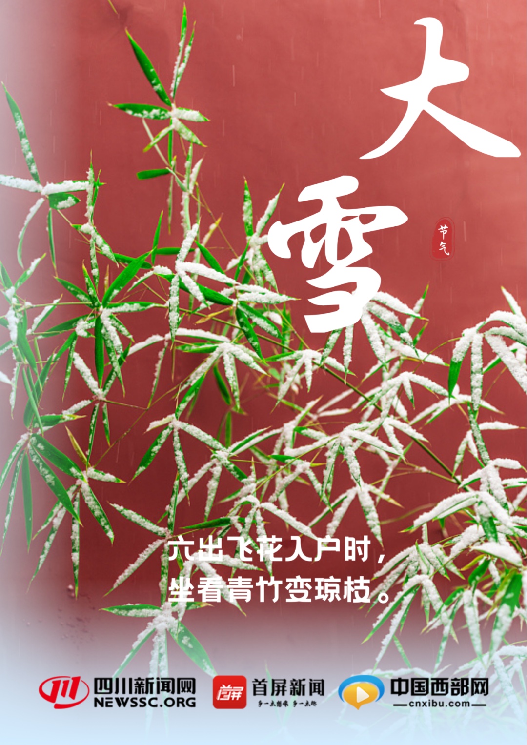 今日大雪！雪纷飞，仲冬始