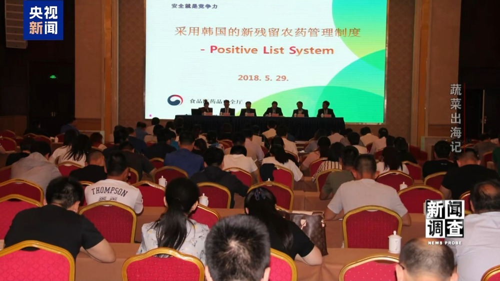 从追标准到定标准 “中国蔬菜出口第一县”做对了什么? 从追标准到定标准 “中国蔬菜出口第一县”做对了什么?