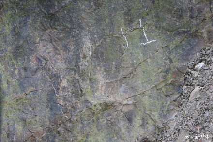 都江堰发现2亿年前恐龙的脚印