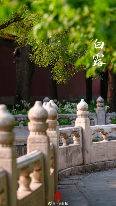 转存收藏！故宫节气图 张张都是壁纸