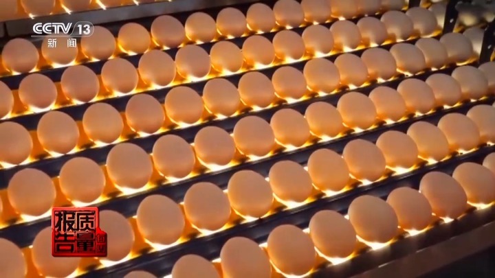 高价“功能蛋”蛋白质含量不如普通蛋？专家：按需选择