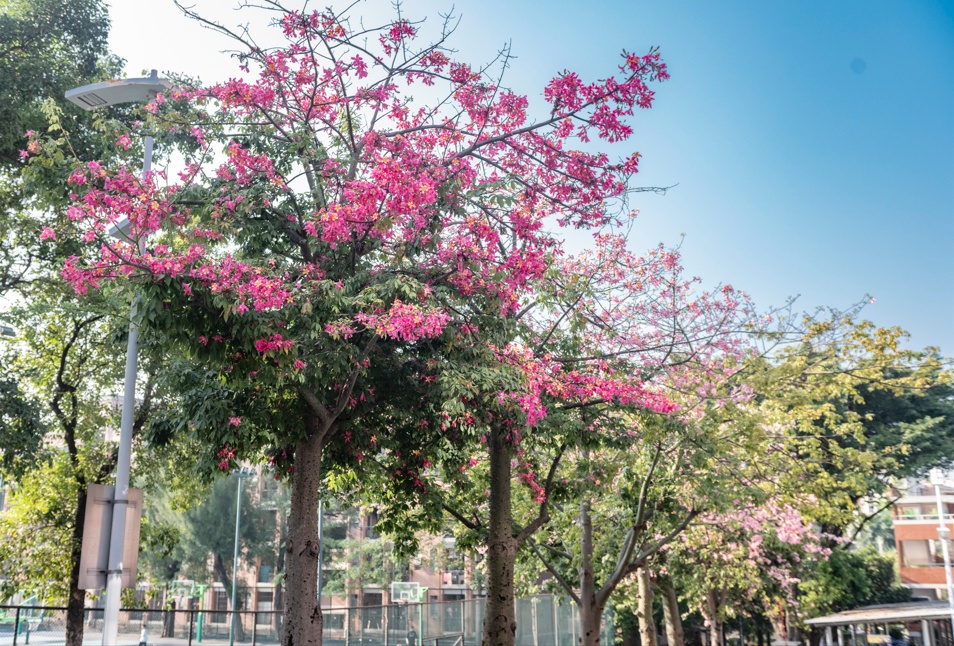 气温反转！降温+降雨，广东人最怕的湿冷要来了……