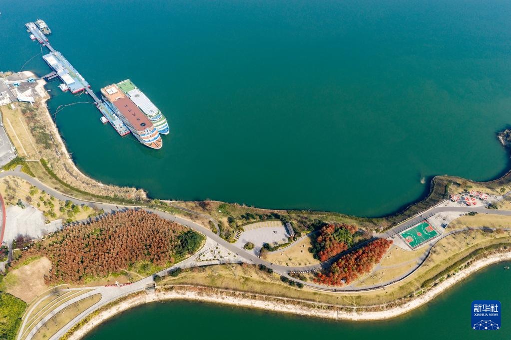 冬林不寂 色彩未眠