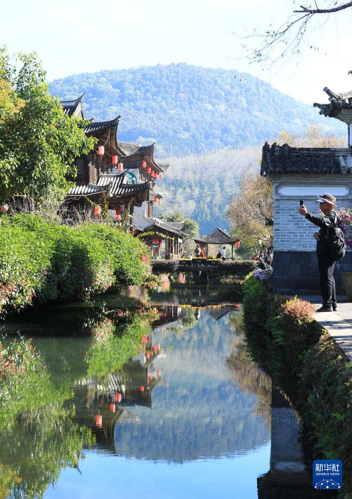 冬林不寂 色彩未眠