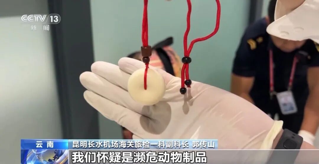 一名女子入境时走路姿态异常，海关拦截发现其裤子内藏2斤多活虫入境，被查