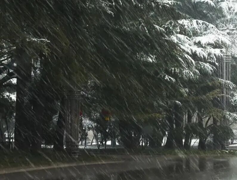 新一轮寒潮将“到货”！大风降温雨雪、局地暴雪！陕西天气预报→
