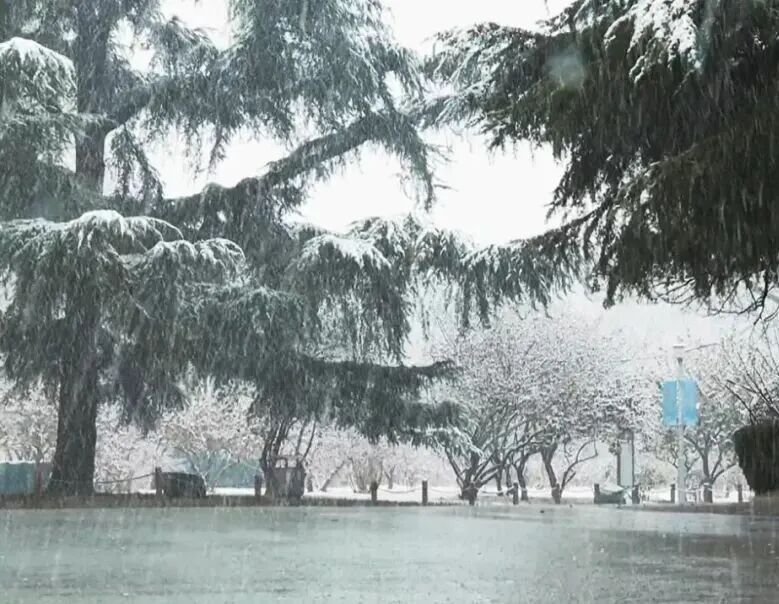 新一轮寒潮将“到货”！大风降温雨雪、局地暴雪！陕西天气预报→