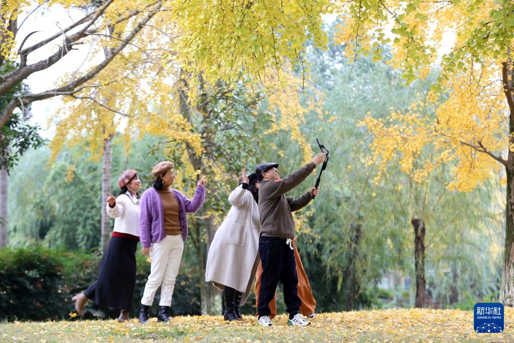 冬林不寂 色彩未眠