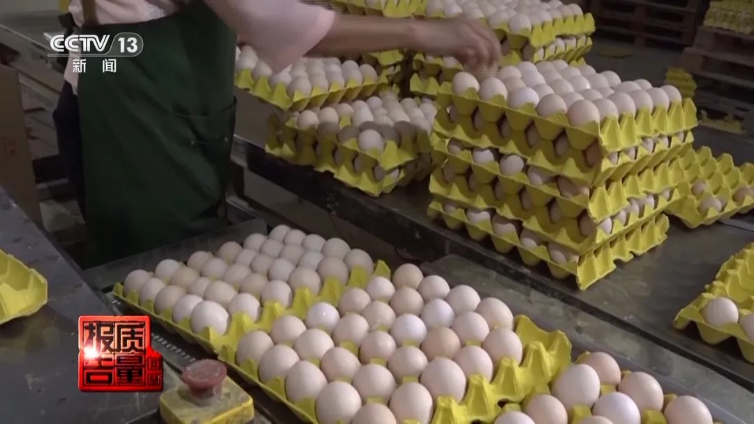价格差10几倍！50元一斤的鸡蛋比3元一斤的更营养吗？真相来了