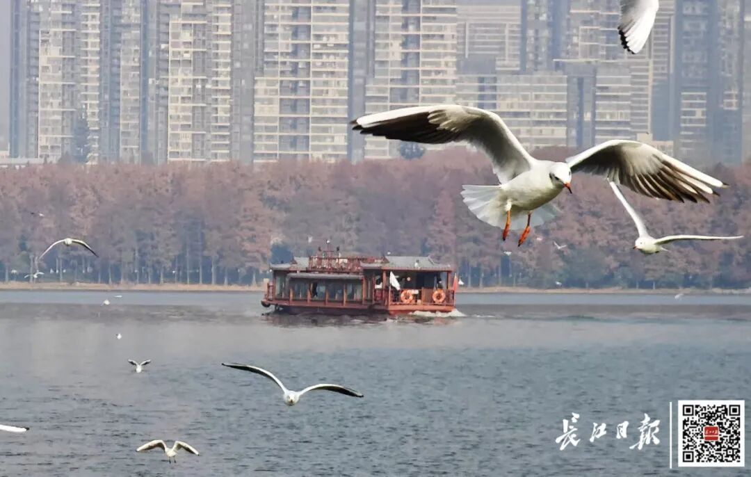 -3℃！武汉有雨夹雪，9级大风也要来