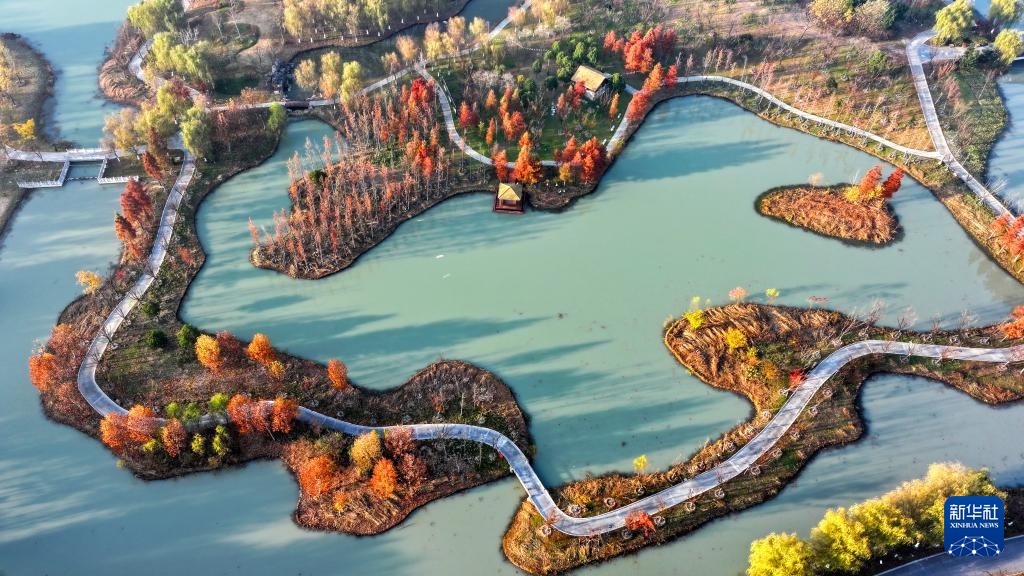 冬林不寂 色彩未眠