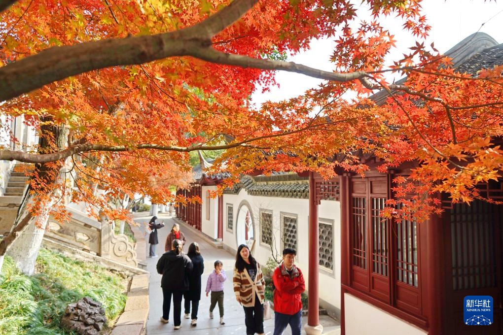 冬林不寂 色彩未眠