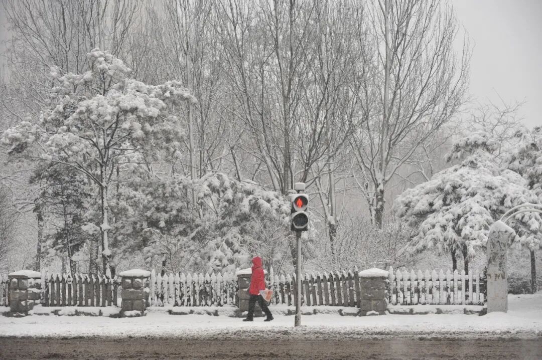 沈阳本周要下两场雪！预计一场有小到中雪量级！时间就在……