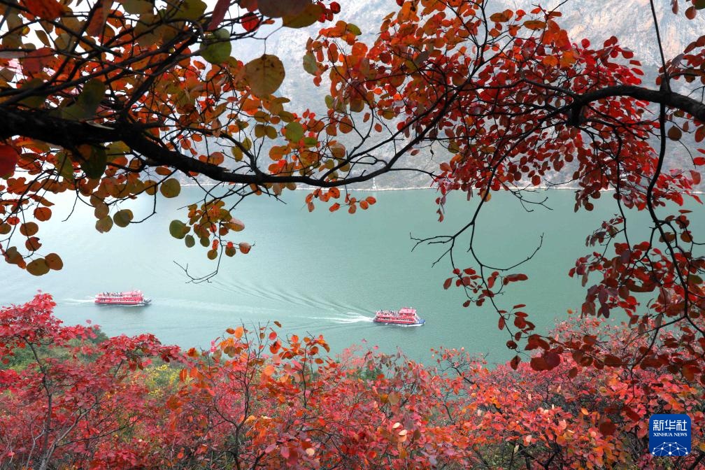 冬林不寂 色彩未眠