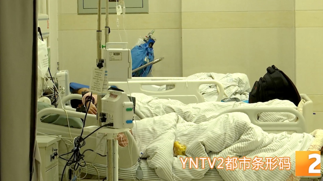 昆明一医院已接诊20余人！原因是拿它炖汤、煮中药……