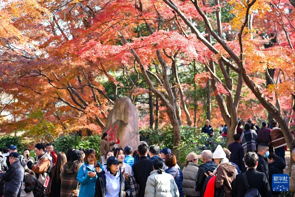 冬林不寂 色彩未眠