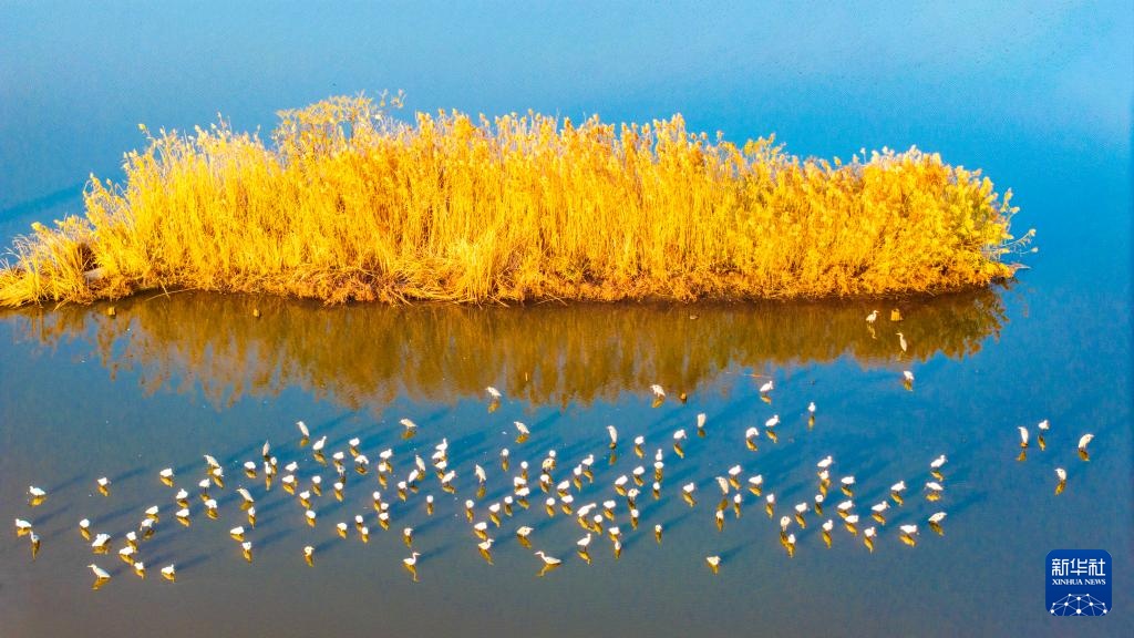 冬林不寂 色彩未眠
