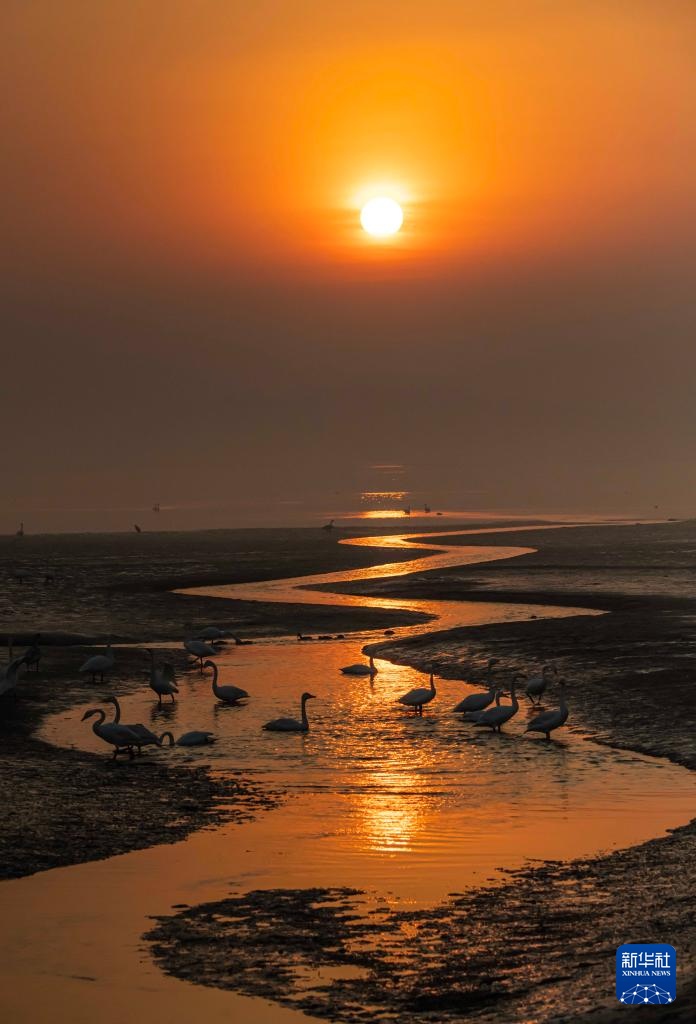 冬林不寂 色彩未眠