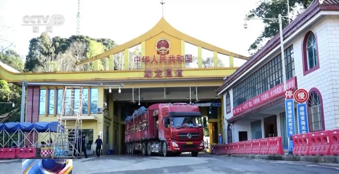 一名女子入境时走路姿态异常，海关拦截发现其裤子内藏2斤多活虫入境，被查