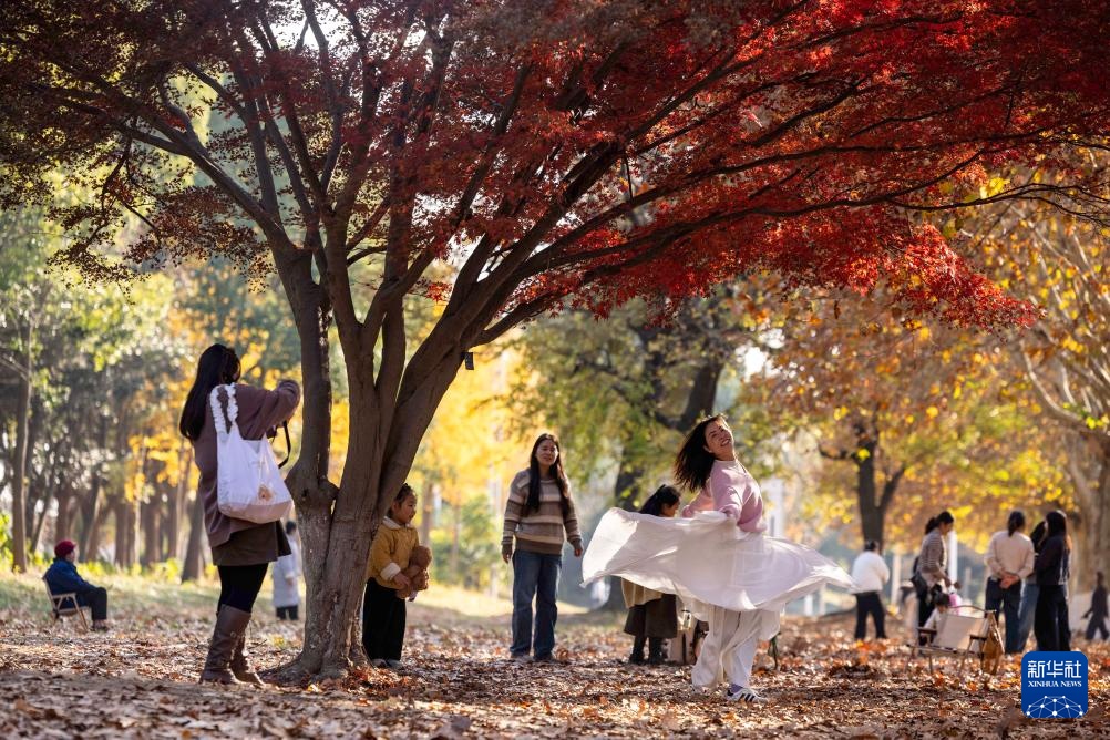 冬林不寂 色彩未眠