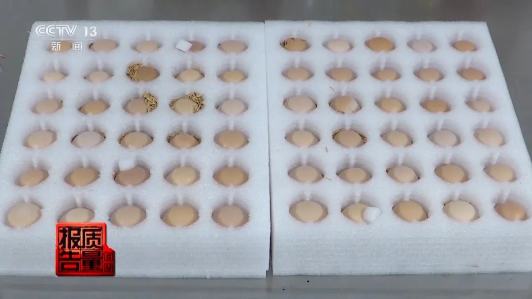 价格差10几倍！50元一斤的鸡蛋比3元一斤的更营养吗？真相来了